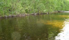 Коттедж за 82 000 евро в Коуволе, Финляндия