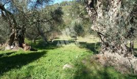 Земля за 110 000 евро в Кунье, Черногория