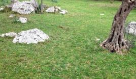 Земля за 90 000 евро в Утехе, Черногория