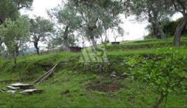 Земля за 150 000 евро в Баре, Черногория