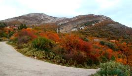 Земля за 1 050 000 евро в Баре, Черногория