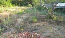 Земля за 38 000 евро в Зеленике, Черногория