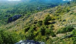 Земля за 309 700 евро в Цетине, Черногория