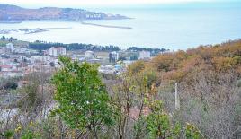 Земля за 63 000 евро в Шушани, Черногория