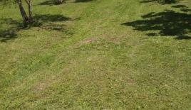 Земля за 137 000 евро в Баре, Черногория