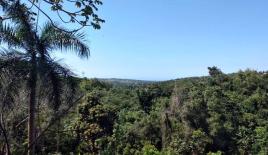 Земля за 407 724 евро в Сосуа, Доминиканская Республика