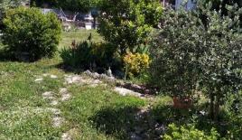 Земля за 52 000 евро в Добра Воде, Черногория