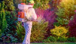 Производство за 2 000 000 евро в Дюссельдорфе, Германия