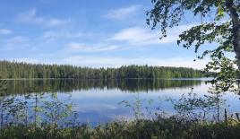 Земля за 49 000 евро в Кухмо, Финляндия