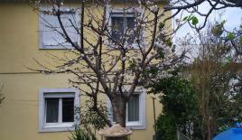 Дом за 270 000 евро в Баре, Черногория