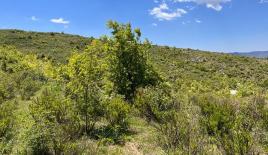 Земля за 750 000 евро в Алании, Турция