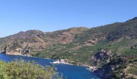 Земля за 1 500 000 евро в Газипаше, Турция