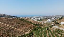 Земля за 210 000 евро в Алании, Турция