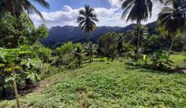 Земля за 169 885 евро в Гаспар Эрнандес, Доминиканская Республика