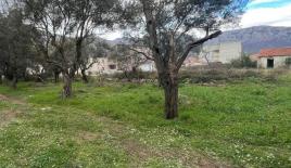 Земля за 105 000 евро в Баре, Черногория