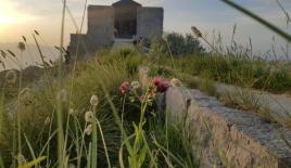 Земля за 250 000 евро в Негуши, Черногория