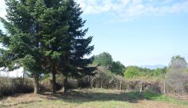 Земля за 19 000 евро на Халкидиках, Греция