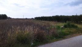 Земля за 90 000 евро на Халкидиках, Греция