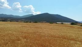 Земля за 80 000 евро в Салониках, Греция