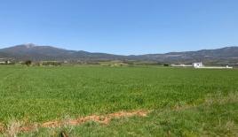 Земля за 75 000 евро в Салониках, Греция