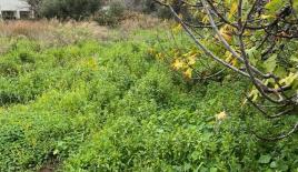 Земля за 342 000 евро в Ираклионе, Греция