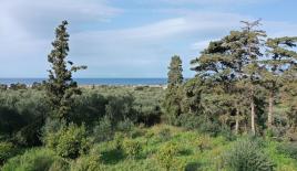 Земля за 200 000 евро в Ираклионе, Греция