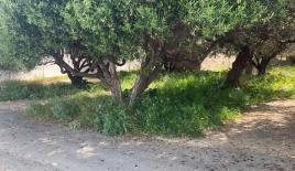 Земля за 500 000 евро в Ираклионе, Греция