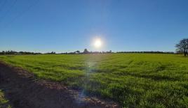 Земля за 2 100 000 евро на Халкидиках, Греция