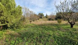 Земля за 290 000 евро на Халкидиках, Греция