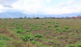 Земля за 550 000 евро в Олимпиаки-Акти, Греция