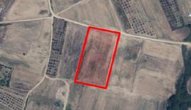 Земля за 250 000 евро на Халкидиках, Греция