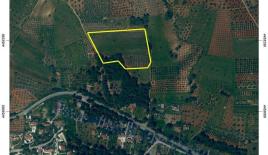 Земля за 550 000 евро в Ситонии, Греция