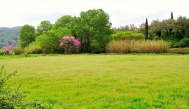 Земля за 150 000 евро на Корфу, Греция