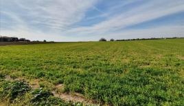 Земля за 450 000 евро на Халкидиках, Греция