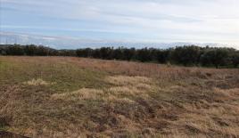 Земля за 150 000 евро на Халкидиках, Греция