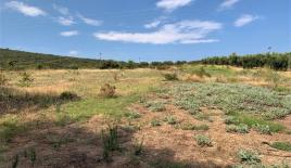 Земля за 290 000 евро в Ситонии, Греция