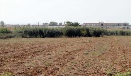 Земля за 190 000 евро в Ситонии, Греция