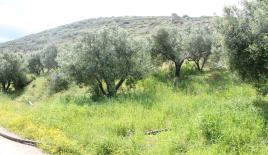 Земля за 225 000 евро в Ираклионе, Греция