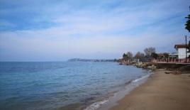 Земля за 500 000 евро на Халкидиках, Греция