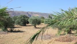 Земля за 1 450 000 евро в Ираклионе, Греция