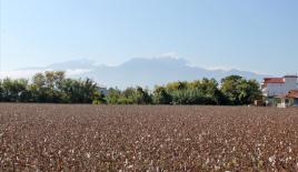 Земля за 150 000 евро в Олимпиаки-Акти, Греция