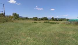 Земля за 1 600 000 евро на Халкидиках, Греция