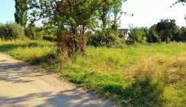 Земля за 175 000 евро в Ситонии, Греция