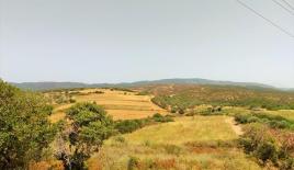 Земля за 500 000 евро на Халкидиках, Греция