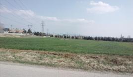 Земля за 1 650 000 евро в Салониках, Греция