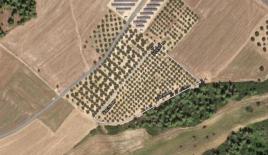 Земля за 200 000 евро на Кассандре, Греция