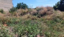 Земля за 190 000 евро на Кассандре, Греция