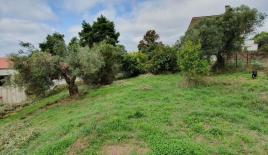 Земля за 300 000 евро на Кассандре, Греция