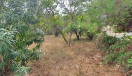 Земля за 220 000 евро на Кассандре, Греция