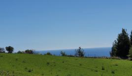 Земля за 390 000 евро на Кассандре, Греция